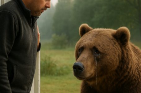 L’orsa posò il suo cucciolo davanti a me, in silenzio. Quello che accadde dopo non potrà mai essere cancellato dal mio cuore.
