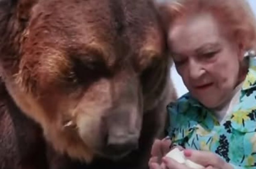  Ricordando Betty White: l’attrice che una volta baciò un gigantesco orso grizzly!»