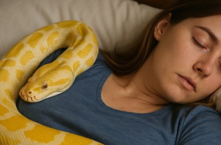 Una giovane donna custodiva in casa un enorme pitone, ma un giorno il serpente cominciò a comportarsi in modo insolito: smise di nutrirsi e si avvolgeva sempre più spesso attorno alla sua vita. Solo dopo lei scoprì qualcosa di inquietante che avrebbe cambiato tutto.