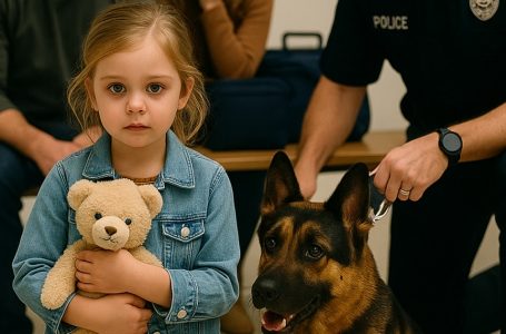 Il cane da servizio ha iniziato ad abbaiare furiosamente contro una bambina piccola e i suoi genitori all’aeroporto. Dopo un minuto l’ufficiale ha capito — quel cane aveva appena salvato loro la vita.
