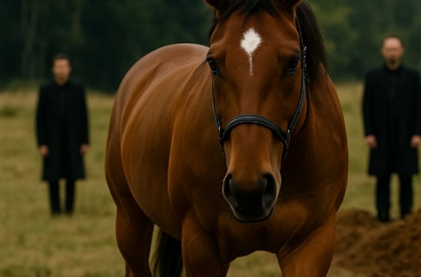  Durante il funerale, il cavallo sbucò dalla foresta e si fermò accanto alla bara. Nessuno si aspettava il motivo della sua presenza.