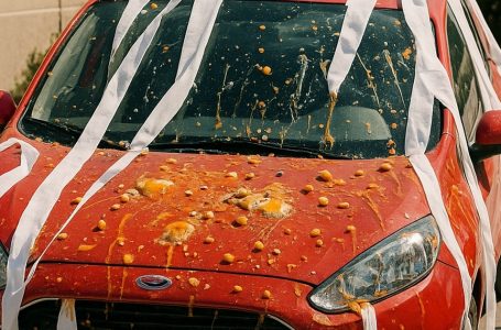 Il mio vicino mi ha lanciato delle uova sulla macchina perché gli avevo coperto le decorazioni di Halloween. Gli ho fatto un “regalo” che non dimenticherà ma