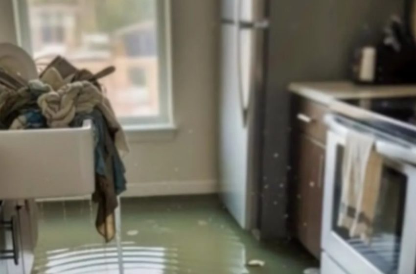  “Mia cognata incinta ha inondato casa nostra per vendetta! Non avrebbe mai immaginato cosa avremmo fatto subito dopo.”