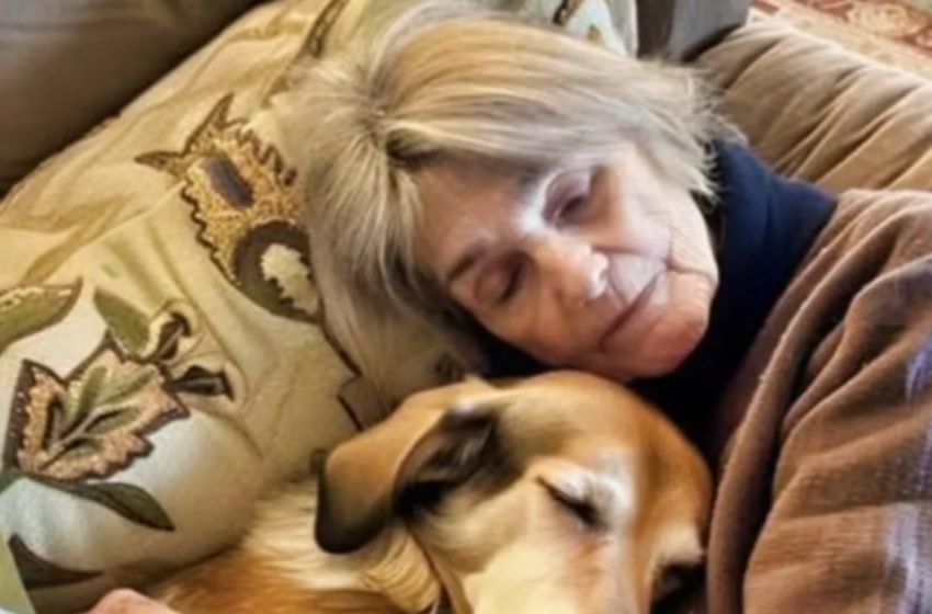  Quando mia nonna non mi lasciò nulla, il suo ultimo scherzo sorprese tutti… persino me! Scoprii finalmente quale fosse il suo vero piano.