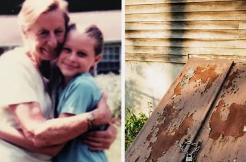  La cantina chiusa, quella che mia nonna non mi aveva mai permesso di aprire… ciò che trovai al suo interno distrusse ogni cosa.