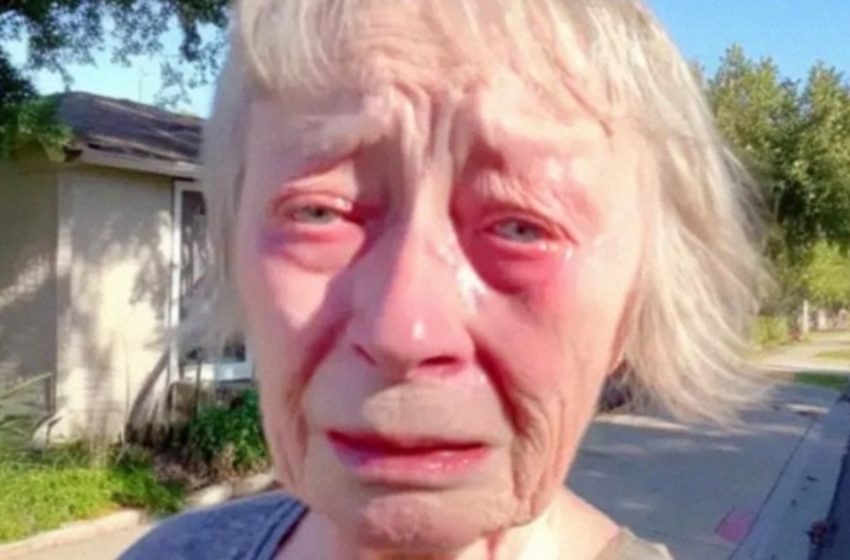  Ho venduto la mia casa per il matrimonio da sogno di mia nipote! Quando mi ha esclusa, le ho insegnato una lezione che non dimenticherà mai